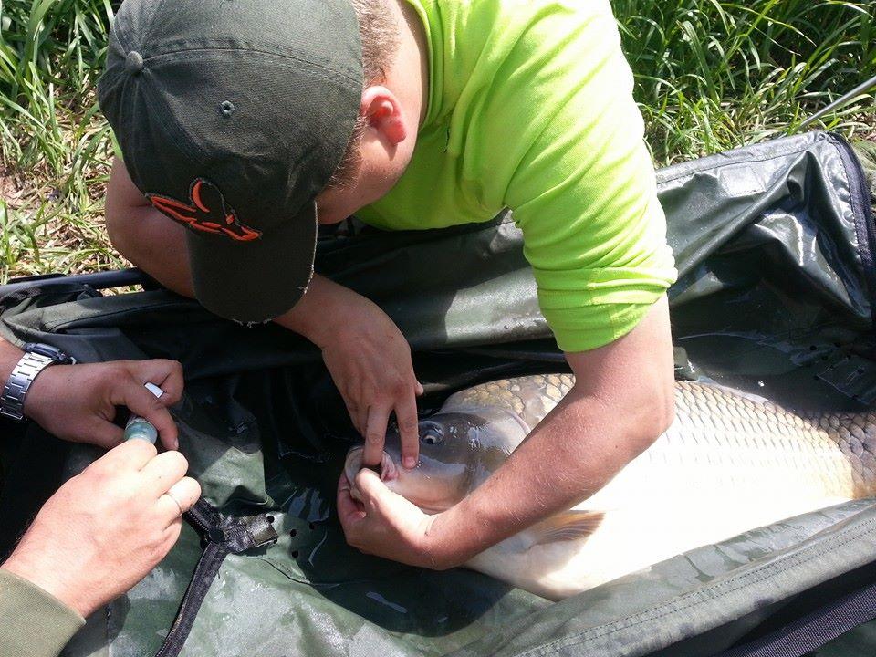 Sisterea 15 - 18 mai 2014 - 18,2